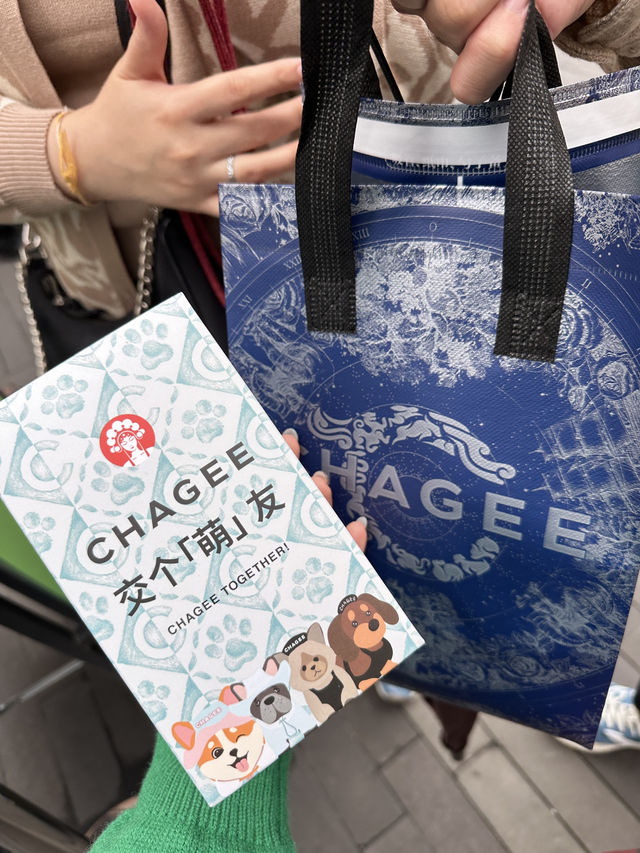 🌆 3-Day Chengdu Citywalk Itinerary