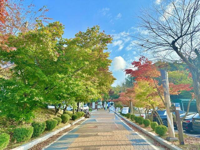 강화도 단풍 명소로 유명한 등반코스