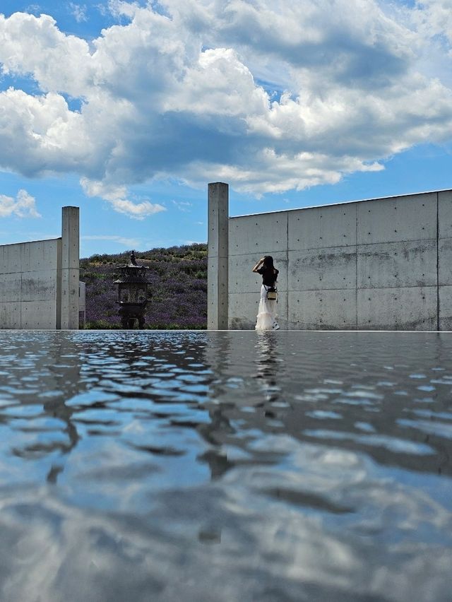 ラベンダーの丘から顔を出す、天空の頭大仏。札幌の新たな瞑想空間🪷💜