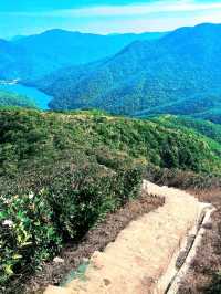 Violet Hill and The Twins: A Scenic Challenge in Hong Kong