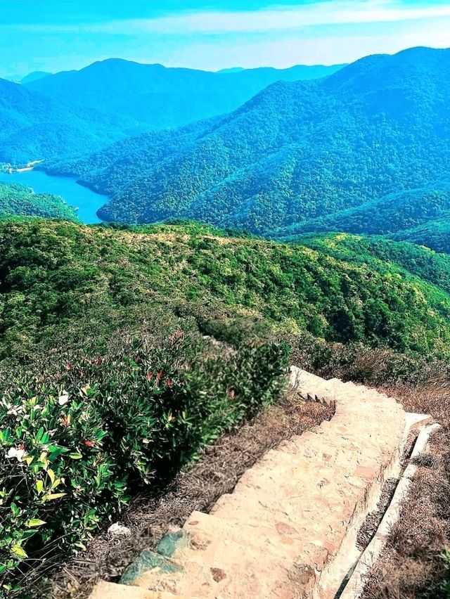 Violet Hill and The Twins: A Scenic Challenge in Hong Kong