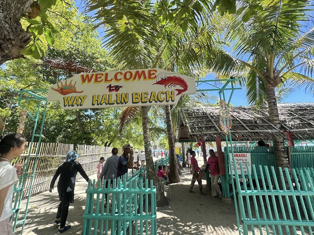 🇵🇭 【Caohagan Island】