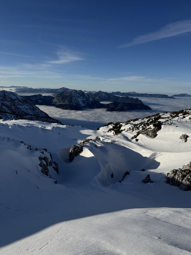 운해 위를 걷는 듯한 순간
