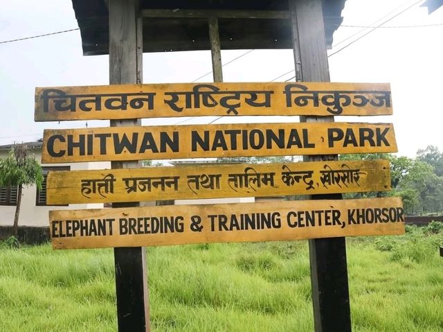 🇳🇵 Chitwan National Park: Into the Wild Heart of Nepal