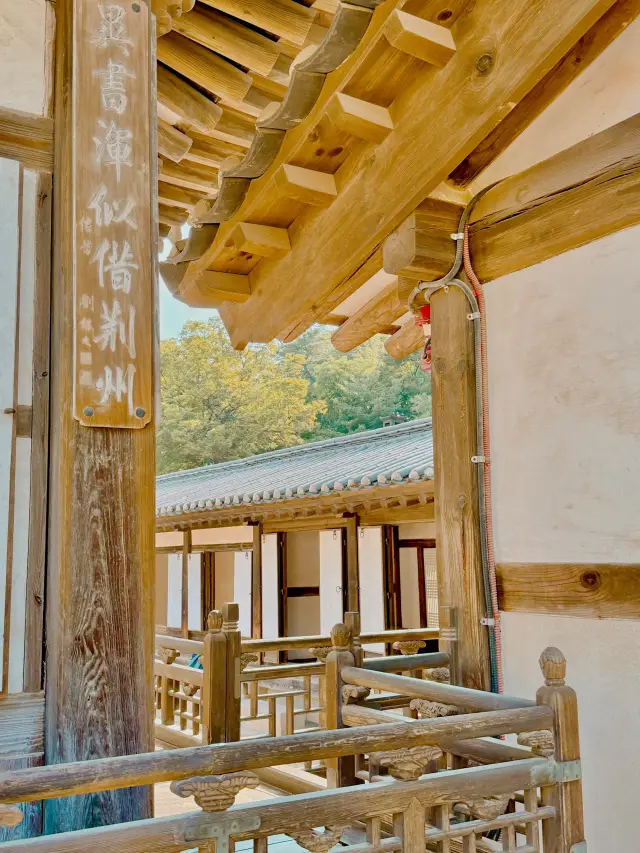 서울에서 가장 멋있는 곳‼️이곳은 꼭 방문해 보세요