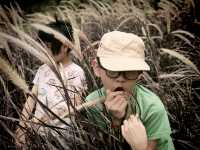 Tales of the tin mining towns: Kek Lok Si & Taiping