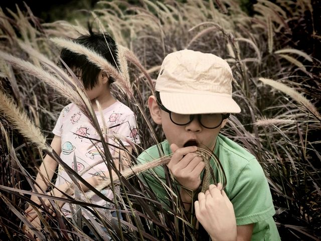 Tales of the tin mining towns: Kek Lok Si & Taiping