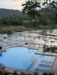 能看大象沐浴🛁的酒店🏨 旅程中最有愛的活動