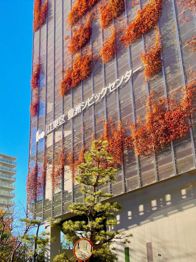 📍도쿄 여행 필수 코스✨ 팀랩 플래닛 도쿄❤️
