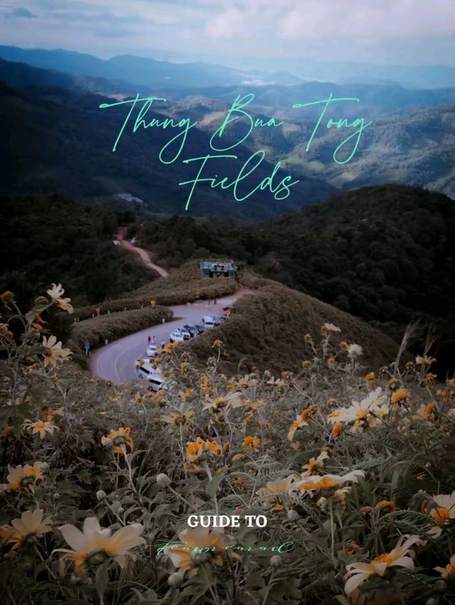 Thung Bua Tong Fields