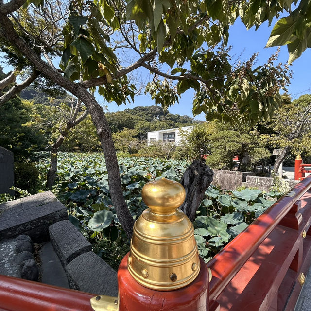 The Setting: Genpei Pond (源平池 - Genpei Ike)