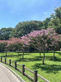 여름 경주 꼭 가야할 핫스팟 🌺🩷