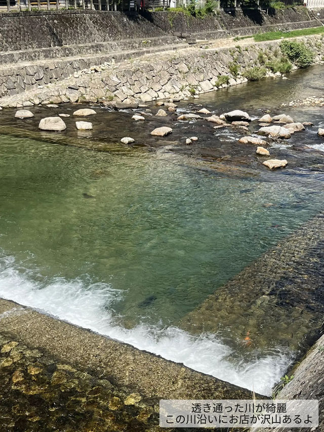 [高山]朝から楽しい！朝市巡り