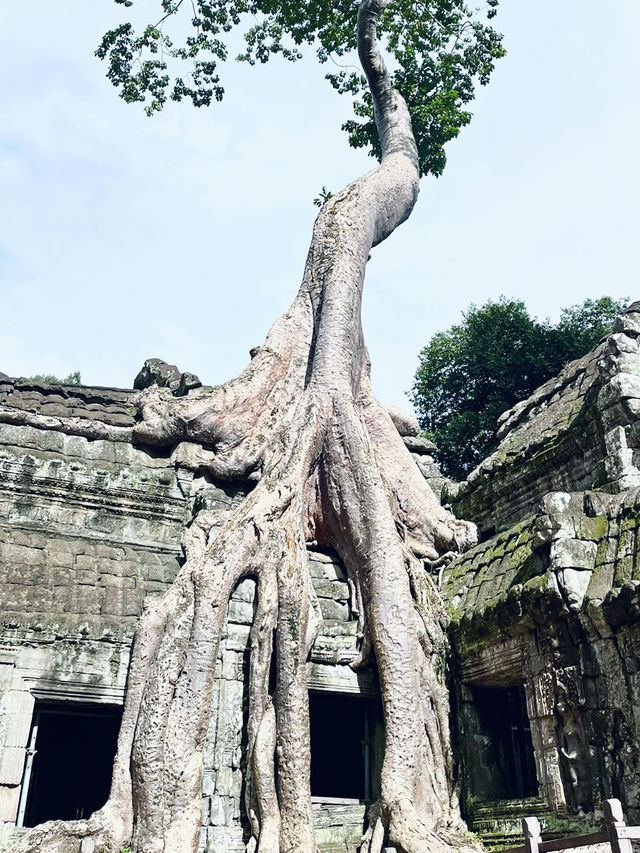 Temple run: Angkor Wat Edition 🛕🇰🇭