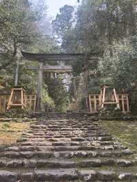 白山神社：心靈的碧綠聖地