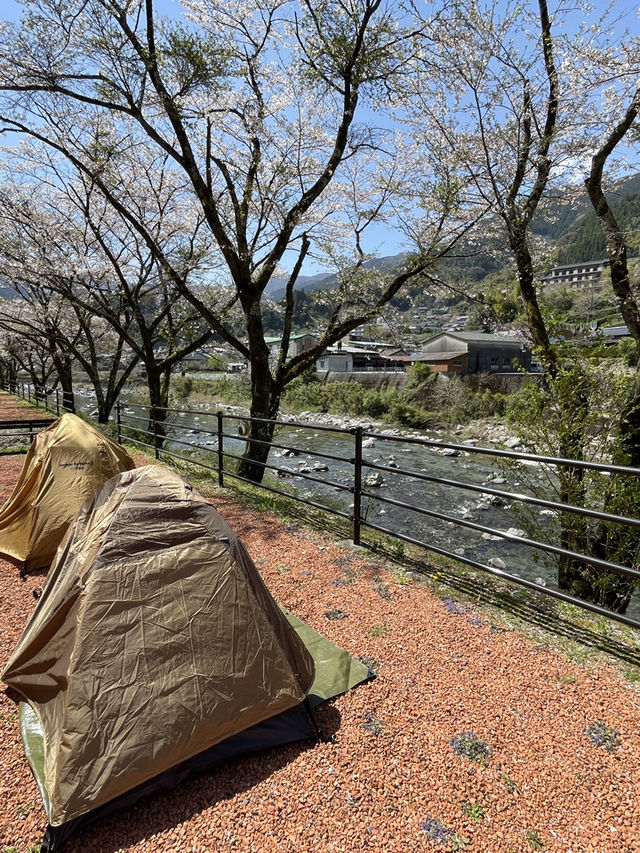 四国ドライブ旅🚗✨寄り道ですら絶景すぎた