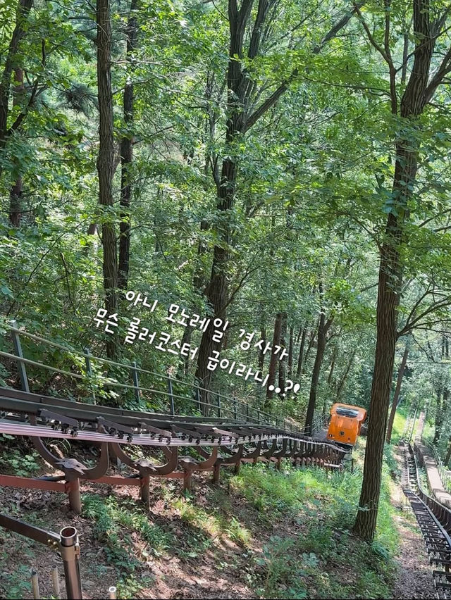 자연과 음악과 영화가 있는 아름다운 제천 여행 코스🌿