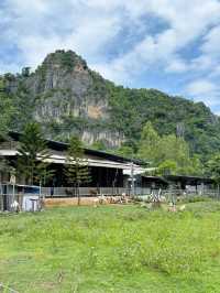 The Rock Cafe So Goood ไปเลี้ยงแพะกันไหม