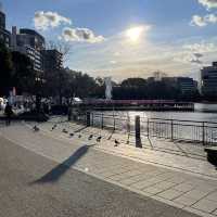 เดินเล่นพาชมบรรยากาศบ่อน้ำชิโนบาสุ 🪷