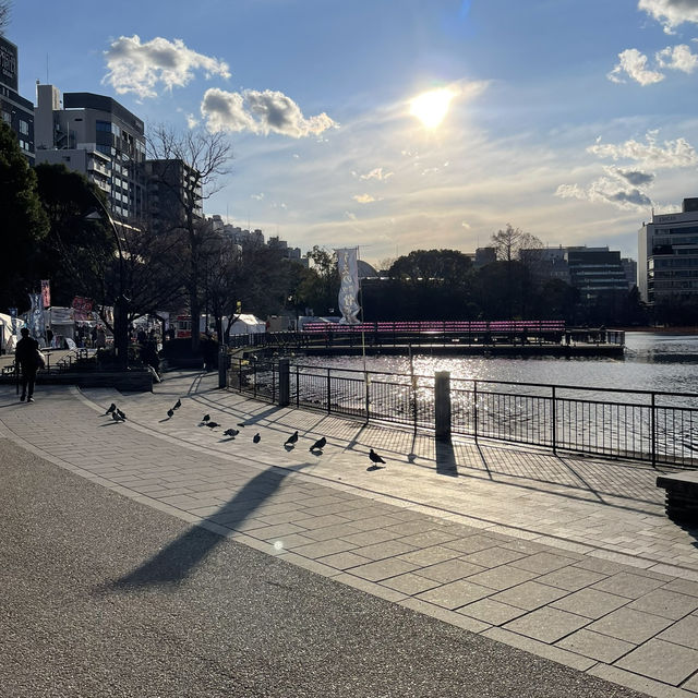 เดินเล่นพาชมบรรยากาศบ่อน้ำชิโนบาสุ 🪷 เดินเล่นพาชมบรรยากาศบ่อน้ำชิโนบาสุ 🪷