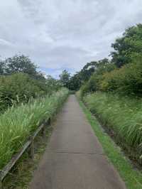 韓国　南山公園