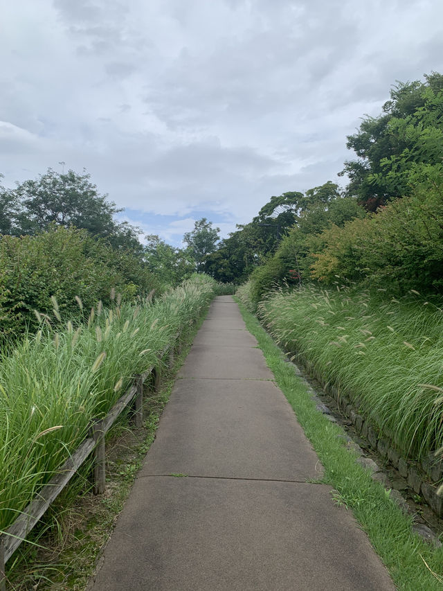 韓国　南山公園