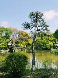 東京日比谷秋日自然散步🌳  