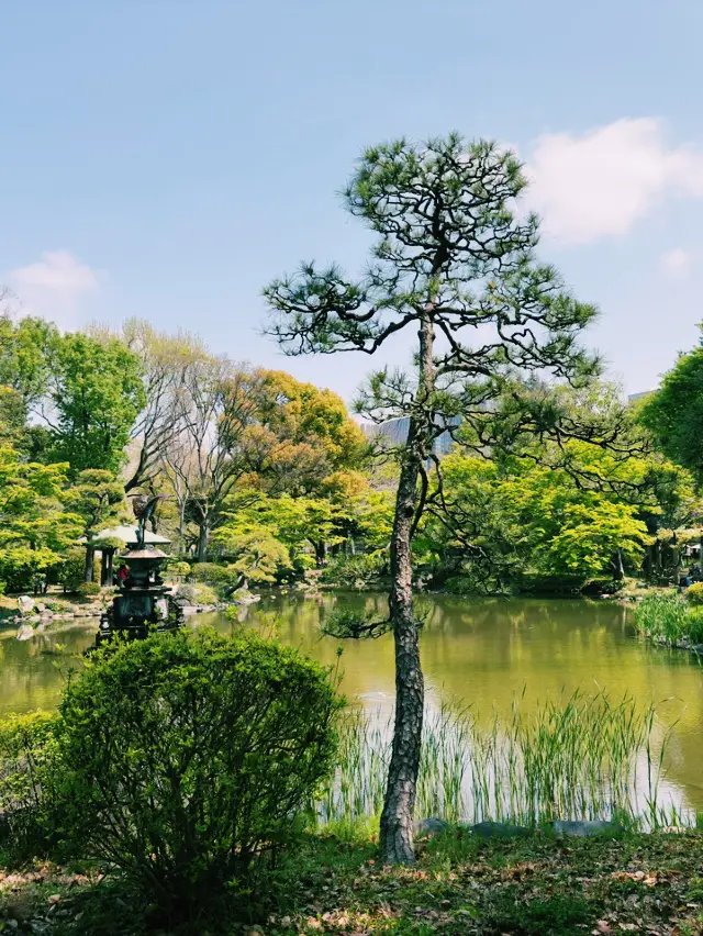 Tokyo Hibiya Autumn Nature Walk
