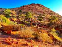 🌄 Oak Creek Canyon – A Scenic Drive Through Nature’s Masterpiece 🍃✨🇺🇸