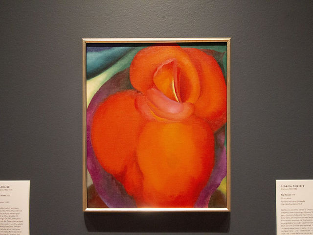 플로리다 팜비치, 노턴 미술관 여행 가이드 🎨