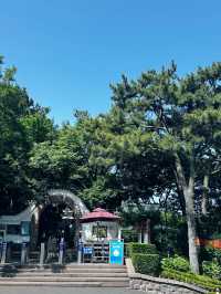 친구와 칭다오 주말여행