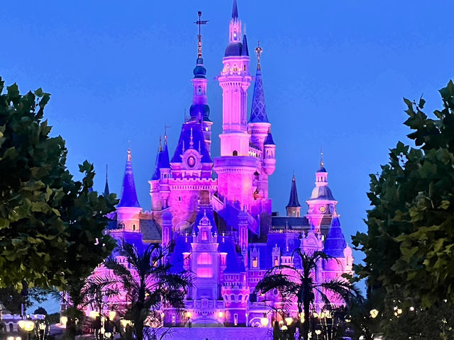 Disney Dream Day✨