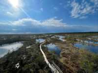 Explore Nature on Ķemeri Bog Trail