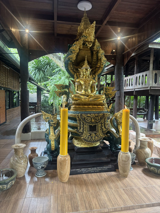 สถานพำนักสงฆ์ สวนป่ามหาชนก แม่ออน