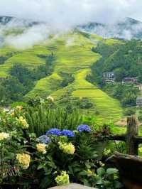 Rice Terrace