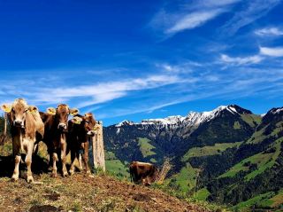 Melchtal beautiful