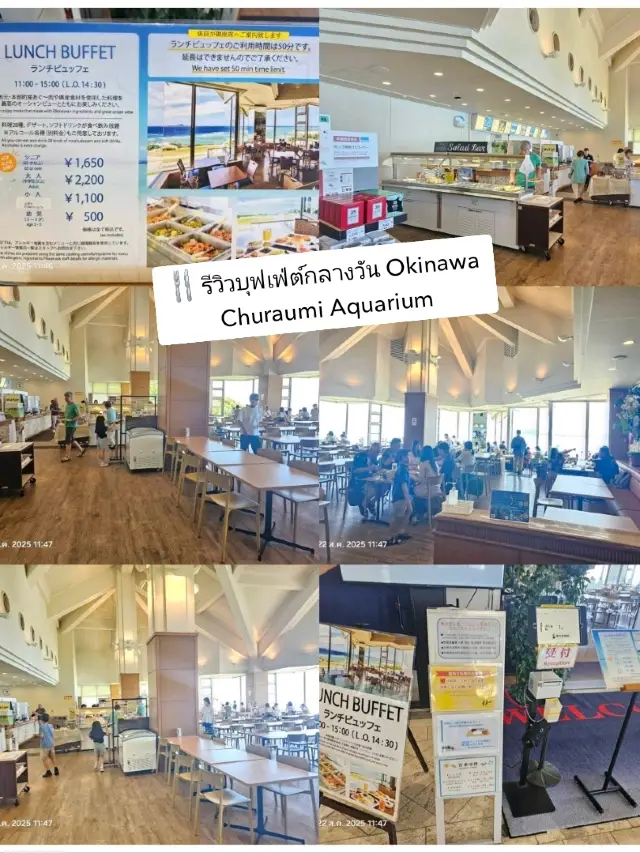 🍴 รีวิวบุฟเฟ่ต์กลางวัน Okinawa Churaumi Aquarium