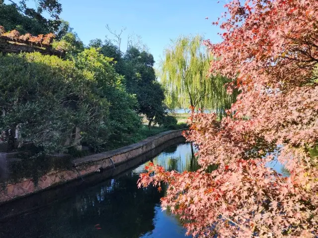 Hangzhou Lake Dream✨