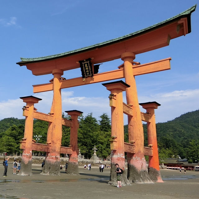 海中島居+海上神社+神之使者一在嚴島神社散策
