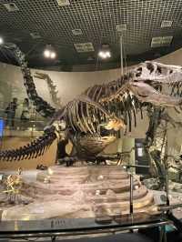 NATIONAL MUSEUM OF NATURE AND SCIENCE.