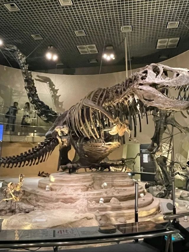 NATIONAL MUSEUM OF NATURE AND SCIENCE.