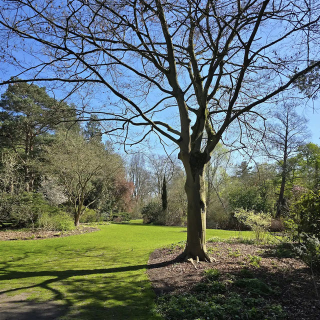 Arboretum Kalmthout,