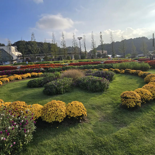 Suncheon Bay National Garden