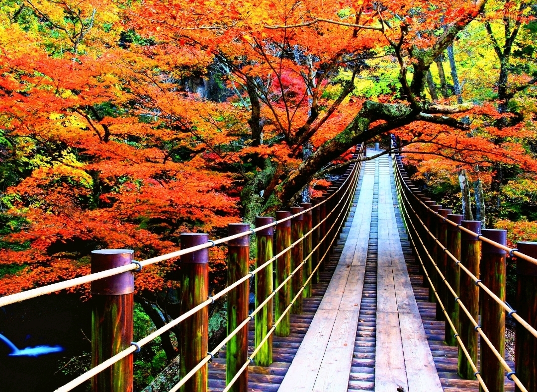 1mi06224x95t4w261A373.jpg?proc