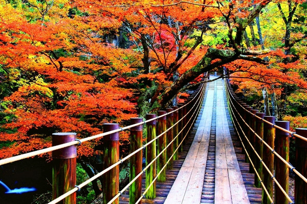 高線量!!花貫渓谷ペグマタイト(28) 高線量!!花貫渓谷ペグマタイト(28) No.37 巨晶花崗岩