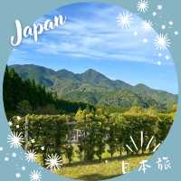【和歌山】熊野古道🌄中辺路 ― 大雲取越の壮大な山道