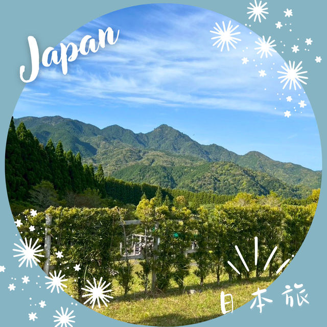 【和歌山】熊野古道🌄中辺路 ― 大雲取越の壮大な山道  【和歌山】熊野古道🌄中辺路 ― 大雲取越の壮大な山道
