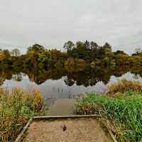 Your Solo River Retreat: Fisherman's Walk, Portglenone