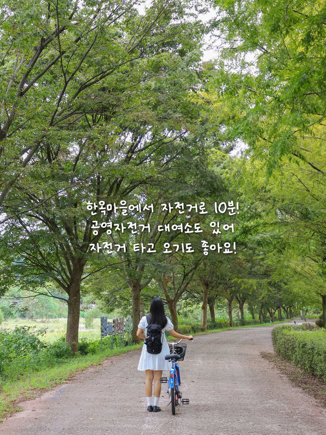  전주의 숨겨진 피크닉 스팟, 이런 순교성지는 어때요? 