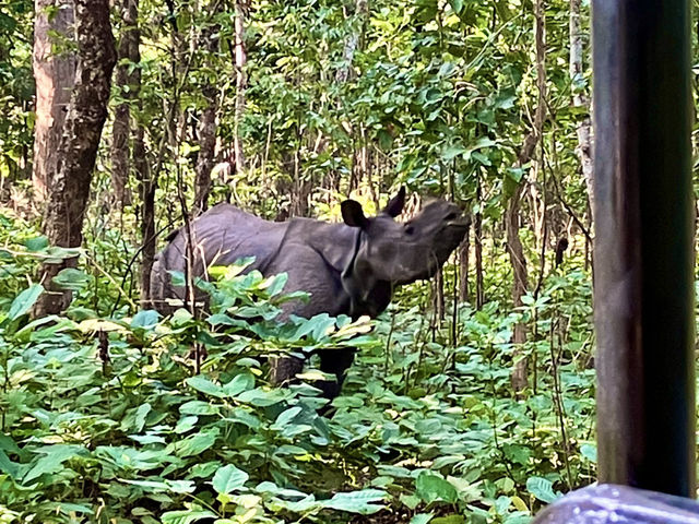 🚌 バスで行く！カトマンズからチトワン国立公園への旅ガイド 🌿